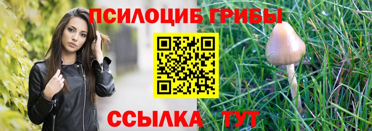 Ижевск  Псилоцибиновые грибы Psilocybe  Вход с VPN 