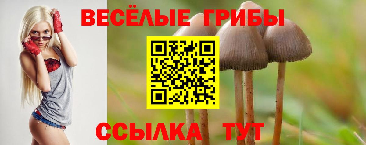 Псилоцибиновые грибы MAGIC MUSHROOMS Ижевск