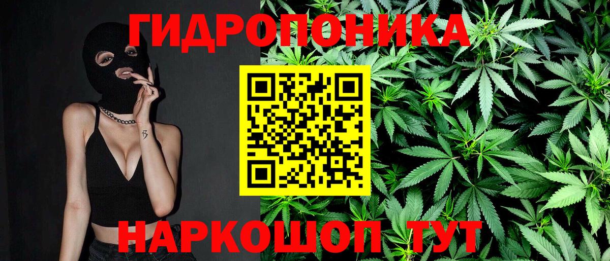Марихуана семена  Марихуана AK-47  Ижевск  Вход с VPN 